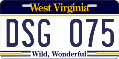 WV license plate DSG075