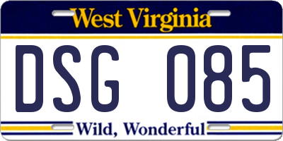 WV license plate DSG085
