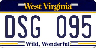 WV license plate DSG095