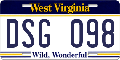WV license plate DSG098