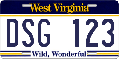 WV license plate DSG123
