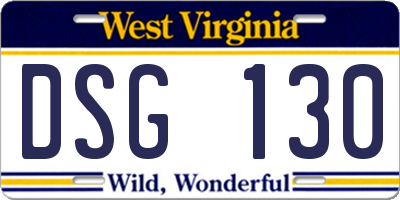 WV license plate DSG130