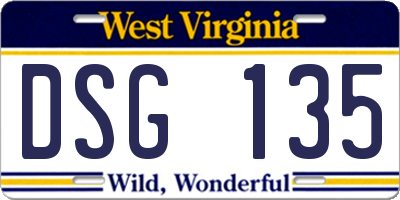 WV license plate DSG135