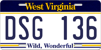 WV license plate DSG136