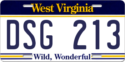 WV license plate DSG213