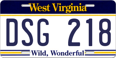 WV license plate DSG218