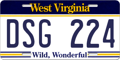 WV license plate DSG224