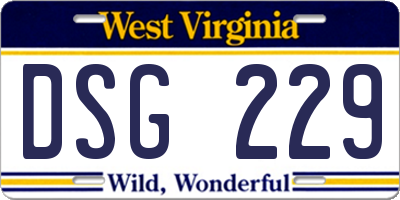WV license plate DSG229