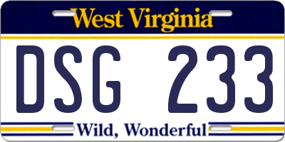WV license plate DSG233