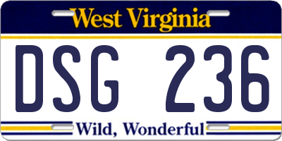 WV license plate DSG236