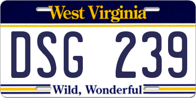 WV license plate DSG239