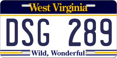 WV license plate DSG289