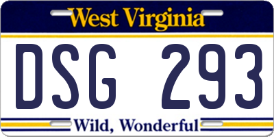 WV license plate DSG293