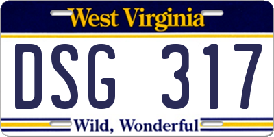 WV license plate DSG317