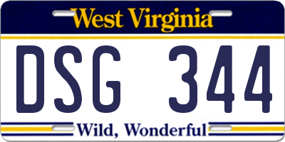 WV license plate DSG344