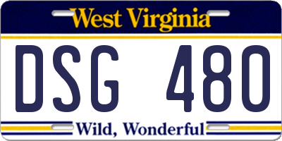 WV license plate DSG480