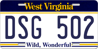 WV license plate DSG502