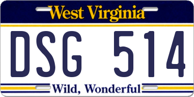 WV license plate DSG514