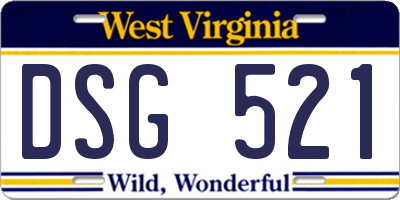 WV license plate DSG521