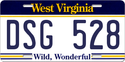 WV license plate DSG528
