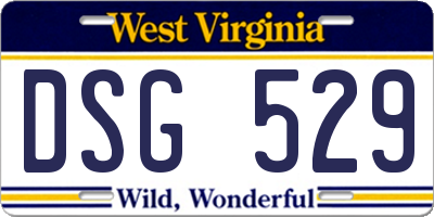 WV license plate DSG529
