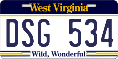 WV license plate DSG534