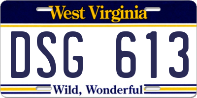 WV license plate DSG613