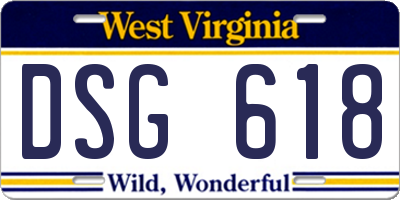 WV license plate DSG618
