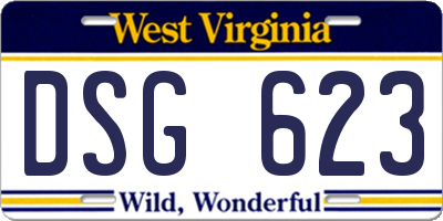 WV license plate DSG623