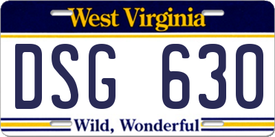WV license plate DSG630