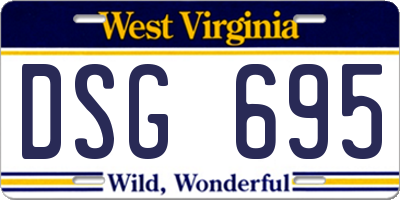 WV license plate DSG695