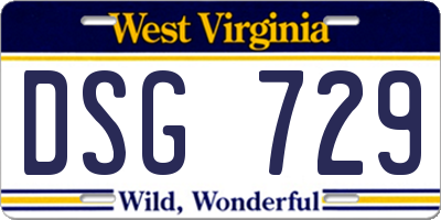 WV license plate DSG729