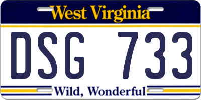 WV license plate DSG733
