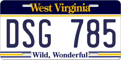 WV license plate DSG785