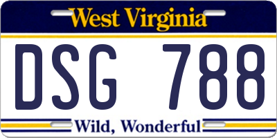 WV license plate DSG788