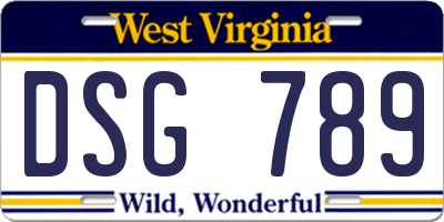 WV license plate DSG789