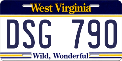 WV license plate DSG790
