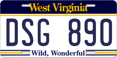 WV license plate DSG890