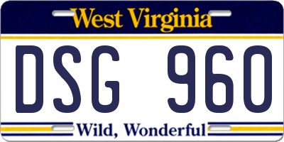 WV license plate DSG960