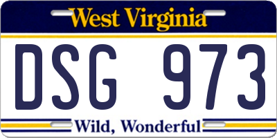 WV license plate DSG973