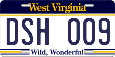 WV license plate DSH009