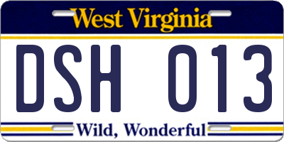 WV license plate DSH013