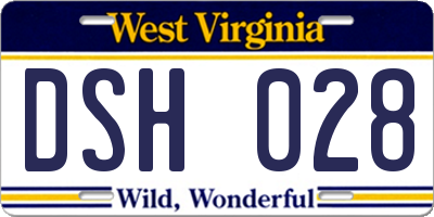 WV license plate DSH028