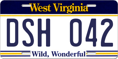 WV license plate DSH042