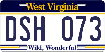 WV license plate DSH073