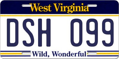 WV license plate DSH099