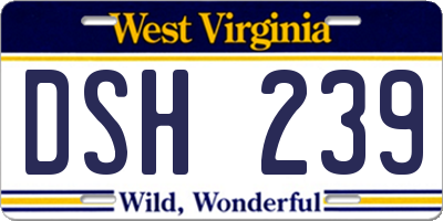 WV license plate DSH239