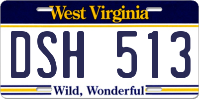 WV license plate DSH513