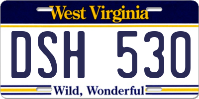 WV license plate DSH530