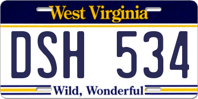 WV license plate DSH534